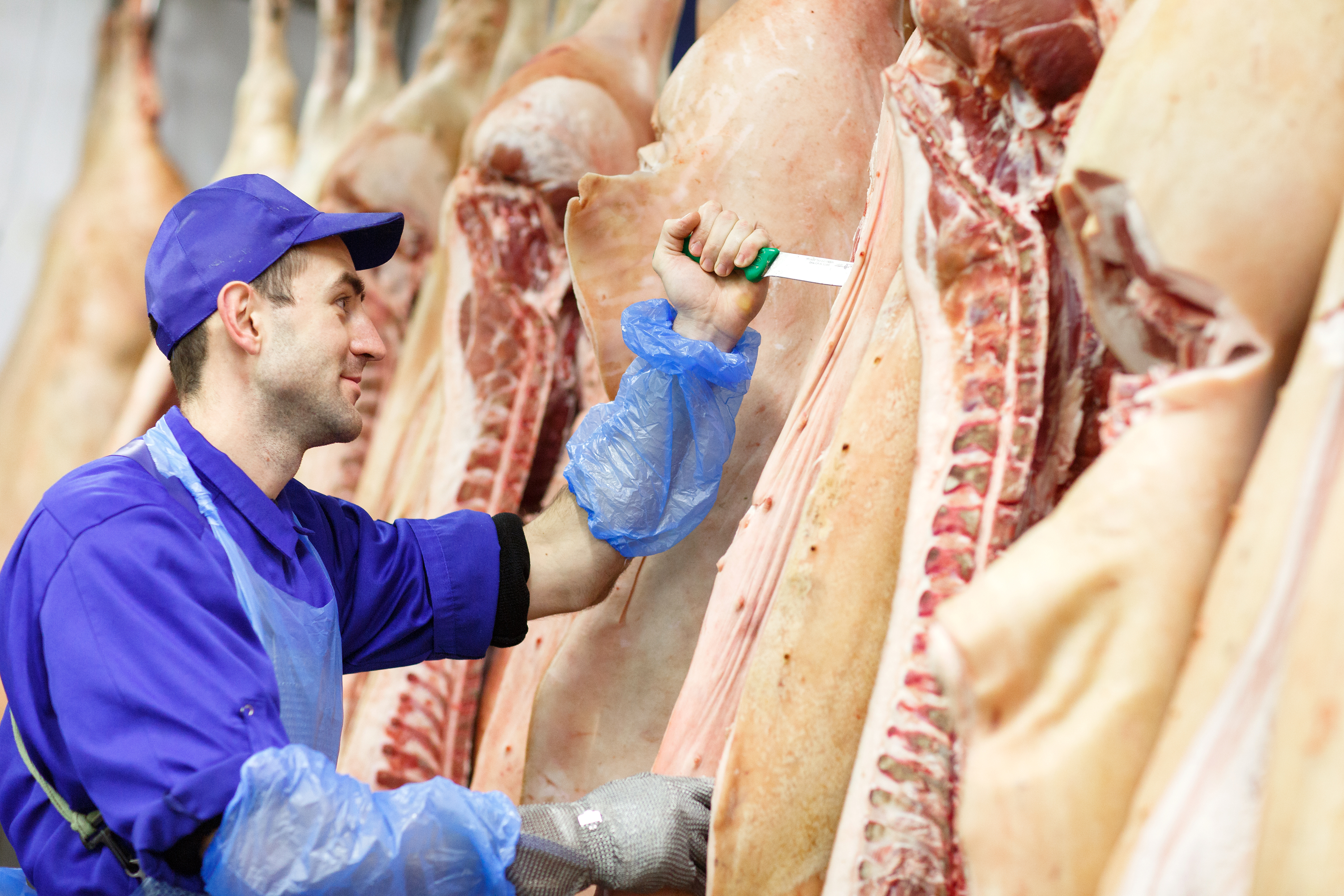 Meat industry professional at work